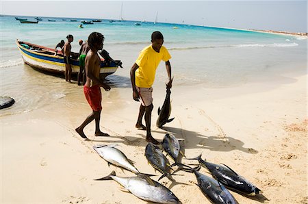Pêcheur apportant attraper sur la plage de Santa Maria sur l'île de Sal (sel), Cap vert, l'océan Atlantique, Afrique Photographie de stock - Rights-Managed, Code: 841-02712621