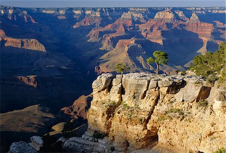 The south rim of the Grand Canyon, Arizona, United States of America Stock Photo - Rights-Managed, Code: 841-02712745