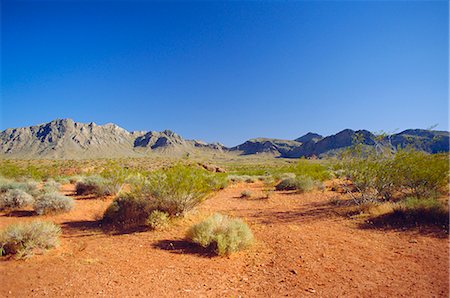 désert de mojave - Valley of Fire State Park, désert de Mojave, Nevada, États-Unis d'Amérique Photographie de stock - Rights-Managed, Code: 841-02712789