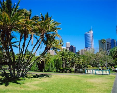 sydney tower - The Royal Botanic Gardens, Sydney, New South Wales, Australia Stock Photo - Rights-Managed, Code: 841-02712996