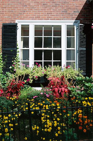 Window and small garden, Beacon Hill, Boston, Massachusetts, New England, United States of America (U.S.A.), North America Stock Photo - Rights-Managed, Code: 841-02713038