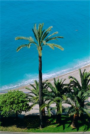 Palm trees and Baie des Anges, Nice, Cote d'Azur, Alpes-Maritimes, Provence, France, Europe Stock Photo - Rights-Managed, Code: 841-02713189