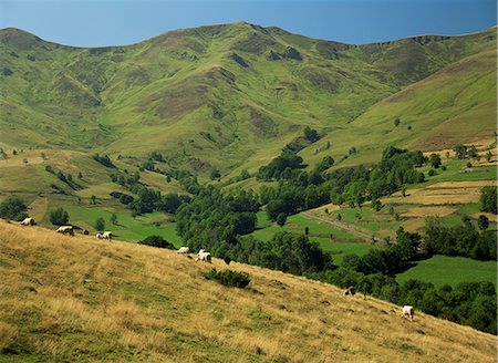 simsearch:841-02945076,k - Landscape near Arreau, Midi Pyrenees, France, Europe Foto de stock - Con derechos protegidos, Código: 841-02713420