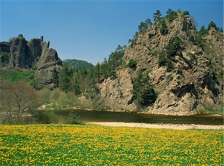 La Loire au printemps avec les fleurs sauvages sur le banc et falaises derrière, près d'Arlempdes, Haute Loire, Auvergne, France, Europe Photographie de stock - Rights-Managed, Code: 841-02713422