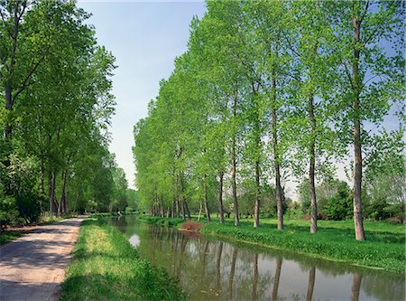 deux-sèvres - Tree lined river bank in spring, Marais Poitevin, Deux Sevres near Coulon, Poitou Charentes, France, Europe Stock Photo - Rights-Managed, Code: 841-02713423