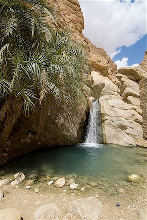 Desert oasis, Chebika, Tunisia, North Africa, Africa Foto de stock - Con derechos protegidos, Código: 841-02713702