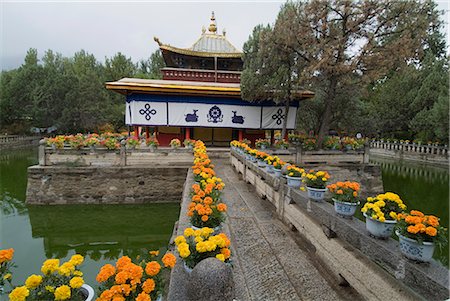 summer palace - Dalai Lama's former summer palace, Lhasa, Tibet, China, Asia Foto de stock - Con derechos protegidos, Código: 841-02713726