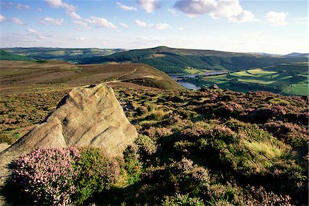 simsearch:841-03032092,k - Sidérite Lee Tor et Derwent Moors, bord de la Derwent, Parc National de Peak District, Derbyshire, Angleterre, Royaume-Uni, Europe Photographie de stock - Rights-Managed, Code: 841-02713780