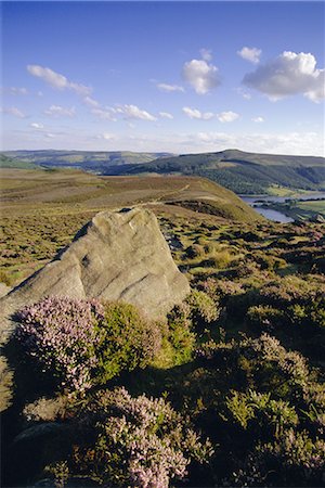 simsearch:841-02720481,k - Whinstone Lee Tor and Derwent Moors, Derwent Edge, Peak District National Park, Derbyshire, England, United Kingdom, Europe Foto de stock - Con derechos protegidos, Código: 841-02713781