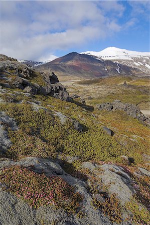 simsearch:841-03031540,k - Moss covered lava beds surround Snaefellsjokull, an active strato volcano capped in snow and ice, on the Snaefellsnes Peninsula, North West area, Iceland, Polar Regions Foto de stock - Con derechos protegidos, Código: 841-02713846