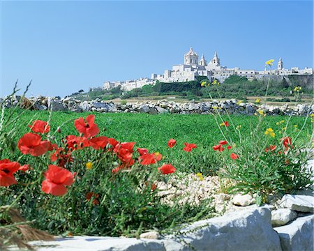 Mdina, the Silent city, Malta, Europe Fotografie stock - Rights-Managed, Codice: 841-02713969