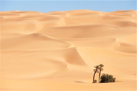 Mandara area, Southwest desert, Libya, North Africa, Africa Fotografie stock - Rights-Managed, Codice: 841-02720057