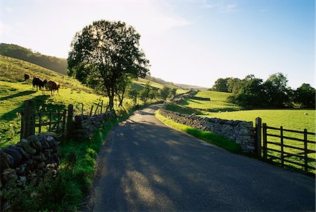 Countryside in Langstrothdale, Yorkshire Dales National Park, Yorkshire, England, United Kingdom, Europe Foto de stock - Con derechos protegidos, Código: 841-02720383