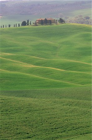 Landschaft der Crete-Gegend, in der Nähe von Siena, Toskana, Italien, Europa Stockbilder - Lizenzpflichtiges, Bildnummer: 841-02720414