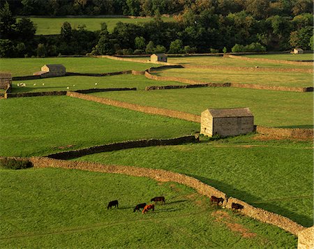 simsearch:841-02831268,k - Walled fields and barn near Gunnister, Yorkshire Dales National Park, Yorkshire, England, United Kingdom, Europe Stock Photo - Rights-Managed, Code: 841-02720466