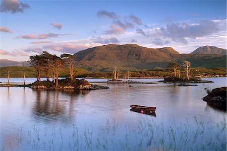 Loch Assynt, boat and Scots pines, North West Highlands, Highland region, Scotland, United Kingdom, Europe Stock Photo - Rights-Managed, Code: 841-02720483