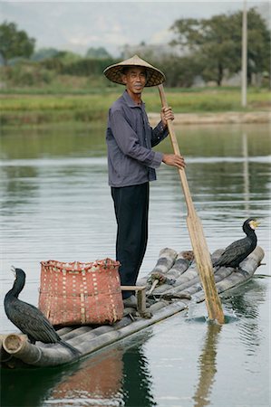 Pêcheur avec des cormorans, Yangshuo, rivière Li, Province de Guangxi, Chine, Asie Photographie de stock - Rights-Managed, Code: 841-02720918
