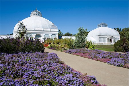 Botanical Gardens, Buffalo, New York State, United States of America, North America Stock Photo - Rights-Managed, Code: 841-02721149