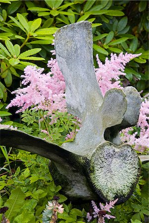 simsearch:841-02721253,k - Whale bone in garden, City of Torshavn, Faroe Islands (Faeroes), Kingdom of Denmark, Europe Stock Photo - Rights-Managed, Code: 841-02721257