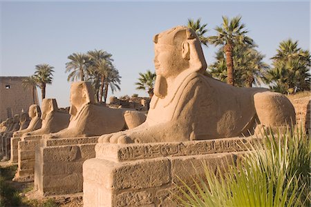 Allée des sphinx, Temple de Luxor, Luxor, Thèbes, UNESCO World Heritage Site, Égypte, Afrique du Nord, Afrique Photographie de stock - Rights-Managed, Code: 841-02721268
