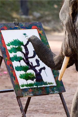 Elephant painting, Chiang Mai, Thailand, Southeast Asia, Asia Foto de stock - Con derechos protegidos, Código: 841-02721298