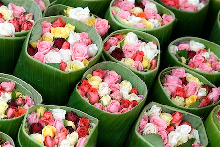 Roses à vendre, Chatuchak weekend sur les marchés, Bangkok (Thaïlande), l'Asie du sud-est, Asie Photographie de stock - Rights-Managed, Code: 841-02721315