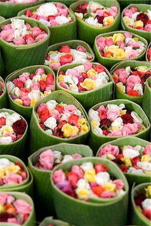 Roses for sale, Chatuchak weekend market, Bangkok, Thailand, Southeast Asia, Asia Foto de stock - Con derechos protegidos, Código: 841-02721310