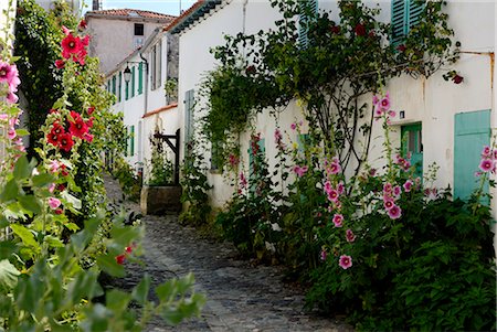 Hollyhocks lining a street with a well, La Flotte, Ile de Re, Charente-Maritime, France, Europe Stock Photo - Rights-Managed, Code: 841-02721498