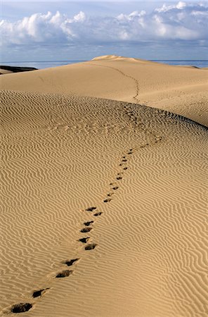 Dunes de Maspalomas, Gran Canaria, Iles Canaries, Espagne, Europe Photographie de stock - Rights-Managed, Code: 841-02721634