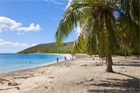 simsearch:841-02721155,k - Turtle Beach on the southeast peninsula, St. Kitts, Leeward Islands, West Indies, Caribbean, Central America Foto de stock - Con derechos protegidos, Código: 841-02722192