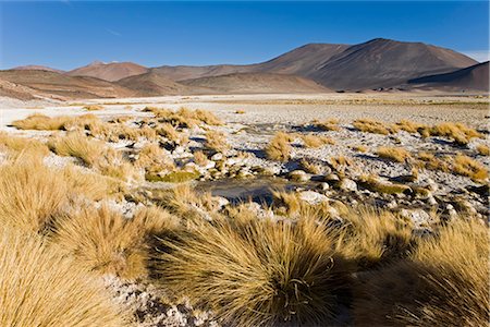 salt lake - The altiplano at an altitude of over 4000m looking over the salt lake Laguna de Tuyajto, Los Flamencos National Reserve, Atacama Desert, Antofagasta Region, Norte Grande, Chile, South America Stock Photo - Rights-Managed, Code: 841-02722346