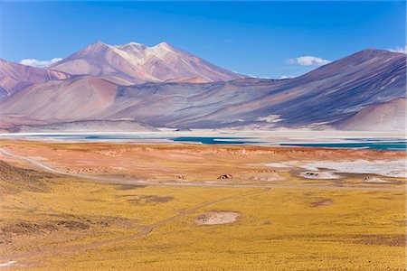 The altiplano at an altitude of over 4000m looking over the salt lake Laguna de Tuyajto, Los Flamencos National Reserve, Atacama Desert, Antofagasta Region, Norte Grande, Chile, South America Stock Photo - Rights-Managed, Code: 841-02722343