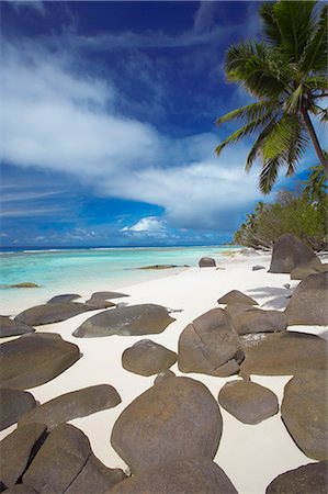 stones sand horizon - Rocks and palm tree on tropical beach, Seychelles, Indian Ocean, Africa Stock Photo - Rights-Managed, Code: 841-02722588