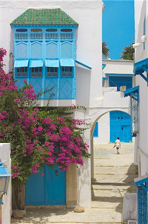 stepping on flowers - Sidi Bou Said, Tunisia, North Africa, Africa Stock Photo - Rights-Managed, Code: 841-02722595