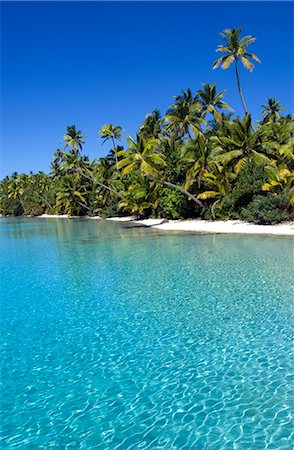 simsearch:841-02920137,k - Palm fringed beaches, Cook Islands, South Pacific, Pacific Foto de stock - Con derechos protegidos, Código: 841-02722618