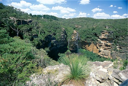 simsearch:841-03062508,k - Wentworth Falls, 300 m d'altitude, sur le visage de grande falaise dans les Blue Mountains, patrimoine mondial UNESCO, à l'est du Pacifique, Australie, New South Wales (N.S.W.), Katoomba Photographie de stock - Rights-Managed, Code: 841-02722707