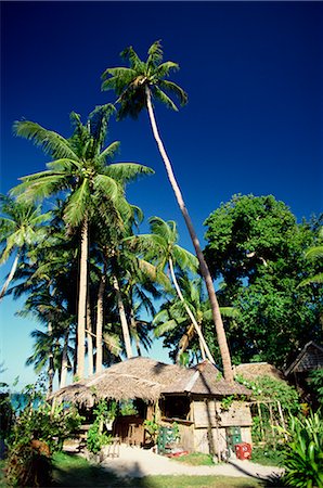 Palm trees and bar on holiday island of Boracay, off the coast of Panay, the Philippines, Southeast Asia, Asia Foto de stock - Direito Controlado, Número: 841-02722796