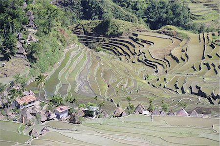 Spectacular amphitheatre of rice terraces around the mountain province village of Batad, northern area of the island of Luzon, Philippines, Southeast Asia, Asia Stock Photo - Rights-Managed, Code: 841-02722797