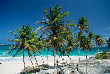Tropical coastline at Bottom Bay, Barbados, West Indies, Caribbean, Central America Stock Photo - Rights-Managed, Code: 841-02722870
