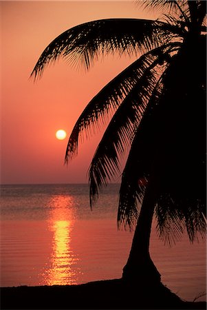 simsearch:862-03712907,k - Coucher de soleil à partir de la station balnéaire de West End Roatan, la plus grande des îles de la baie, au Honduras, Caraïbes, Amérique centrale Photographie de stock - Rights-Managed, Code: 841-02722889