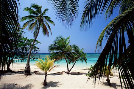 West Bay at the western tip of Roatan, largest of the Bay Islands, Honduras, Caribbean, Central America Stock Photo - Rights-Managed, Code: 841-02722892