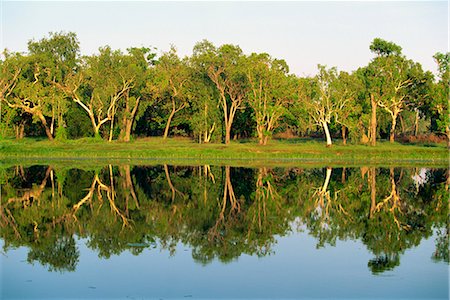 Réflexions d'eucalyptus (gomme) sur Annaburroo Billabong près l'Arnhem Highway à la Mary River Crossing dans le territoire du Nord, Australie, Pacifique Photographie de stock - Rights-Managed, Code: 841-02722985