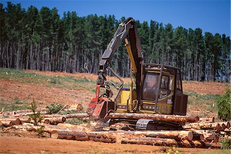 simsearch:841-02824677,k - Logging machinery at fir tree plantation by the Princes Highway, northwest of Gambier, South Australia, Australia, Pacific Stock Photo - Rights-Managed, Code: 841-02723009