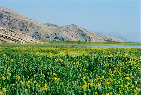 Lac Paresham, Iran, Moyen-Orient Photographie de stock - Rights-Managed, Code: 841-02824435