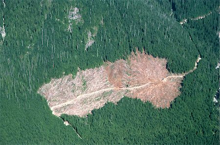 simsearch:841-02824677,k - Logged area and surrounding forest from the air, British Columbia, Canada, North America Stock Photo - Rights-Managed, Code: 841-02824505