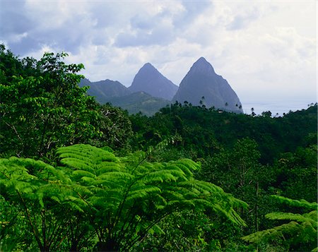 pitons - Les Pitons, Sainte-Lucie, au vent Iles, Antilles, Caraïbes, Amérique centrale Photographie de stock - Rights-Managed, Code: 841-02824572