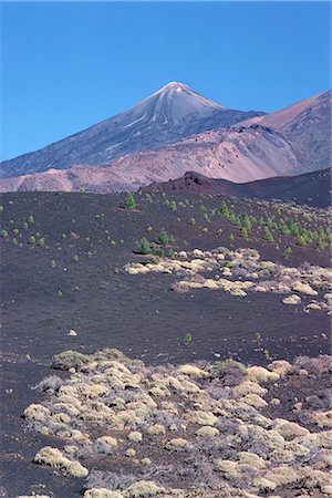 simsearch:841-02825516,k - Mount Teide, Tenerife, Canary Islands, Spain, Atlantic, Europe Foto de stock - Con derechos protegidos, Código: 841-02824594