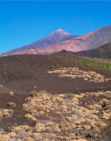 simsearch:841-03677367,k - Mount Teide, Tenerife, Canary Islands, Spain, Atlantic, Europe Fotografie stock - Rights-Managed, Codice: 841-02824592