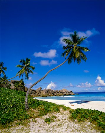 Beach, Grand Anse, La Digue Island, Seychelles Stock Photo - Rights-Managed, Code: 841-02824604