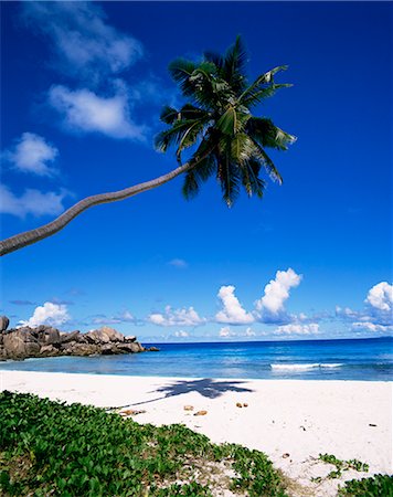 Grand Anse, La Digue island, Seychelles, Indian Ocean, Africa Stock Photo - Rights-Managed, Code: 841-02824607